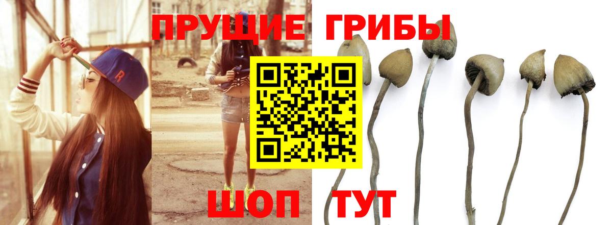 Псилоцибиновые грибы Magic Shrooms  Вход с VPN  Псков 
